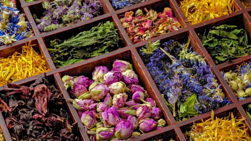 best herbalism books